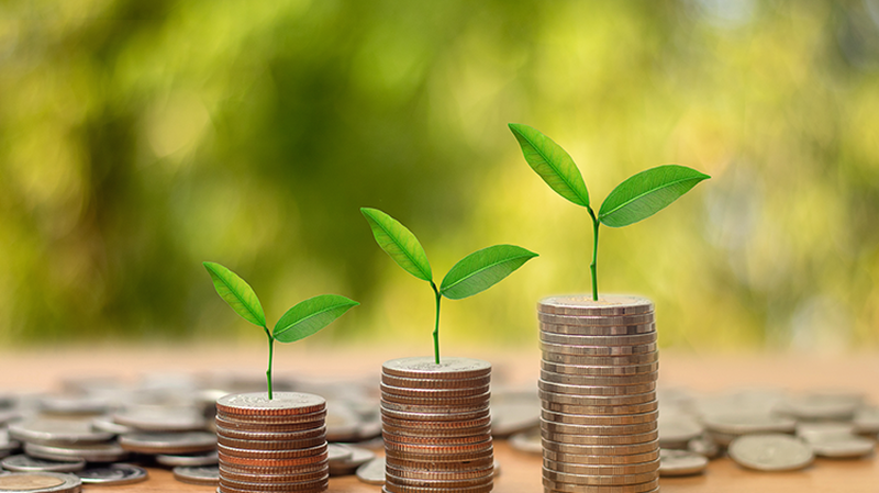 Transformador trifásico a seco ou a óleo: qual apresenta o melhor custo-benefício?